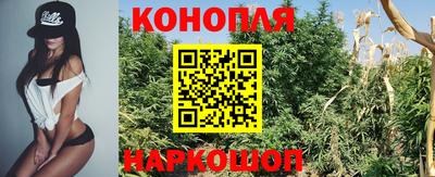 стафф Ставрополь