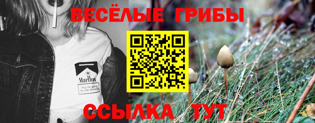 Псилоцибиновые грибы Magic Shrooms  Вход с VPN  Чебаркуль 