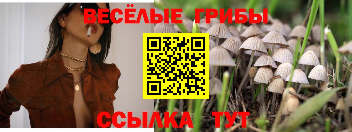 Галлюциногенные грибы Cubensis Чебаркуль